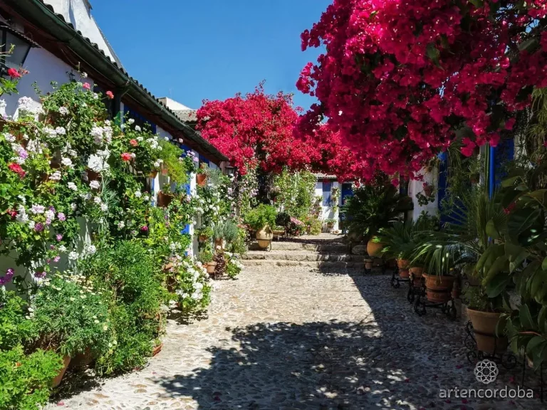 visita guiada a los patios de cordoba 2 1 768x576