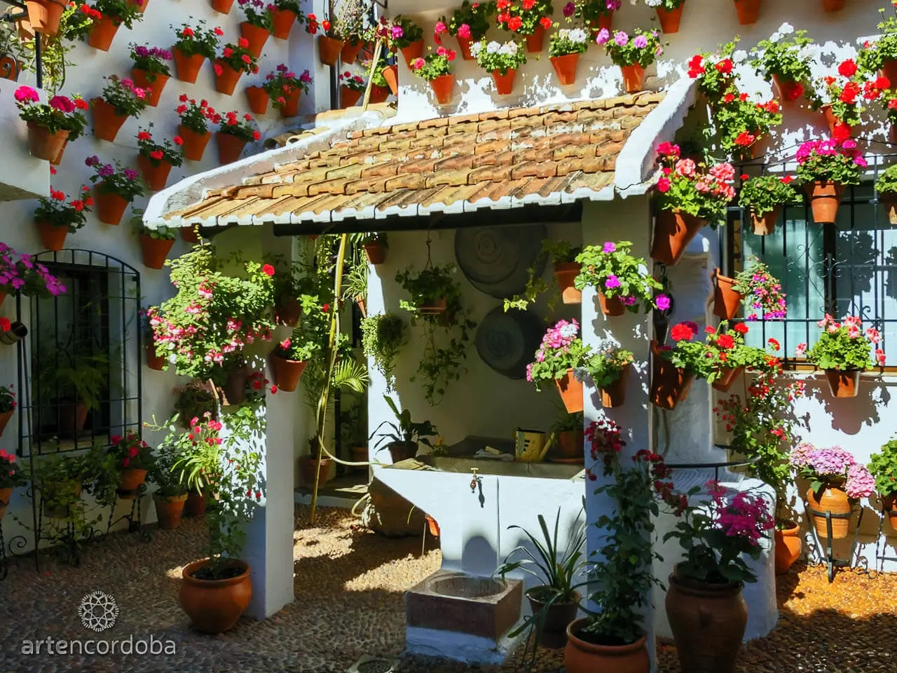 Visita Guiada a los Patios de Córdoba