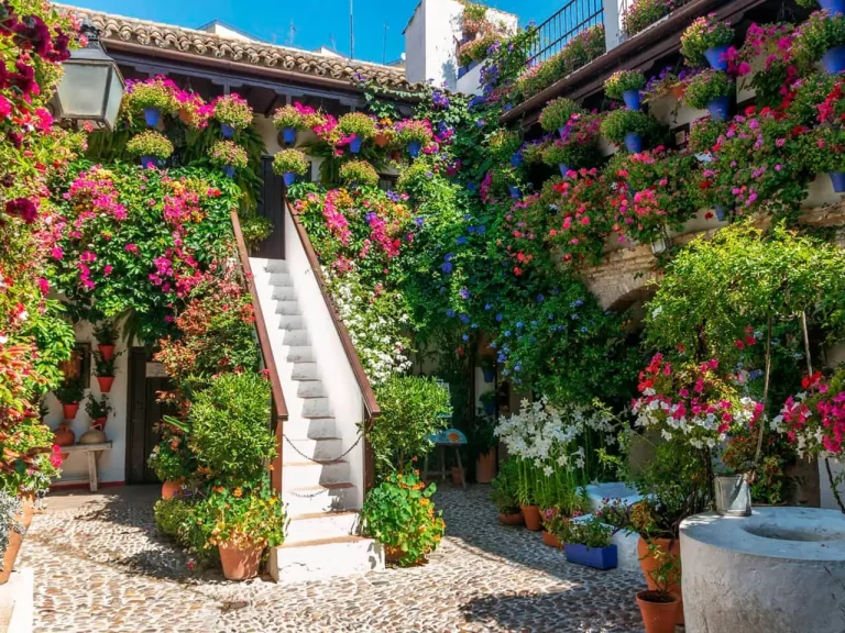 visita guiada a los patios de cordoba 4 1 768x576