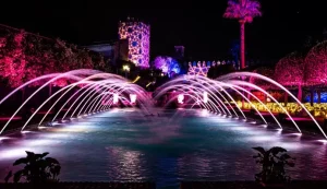 Entradas Naturaleza encendida Navegantes Alcazar de Cordoba