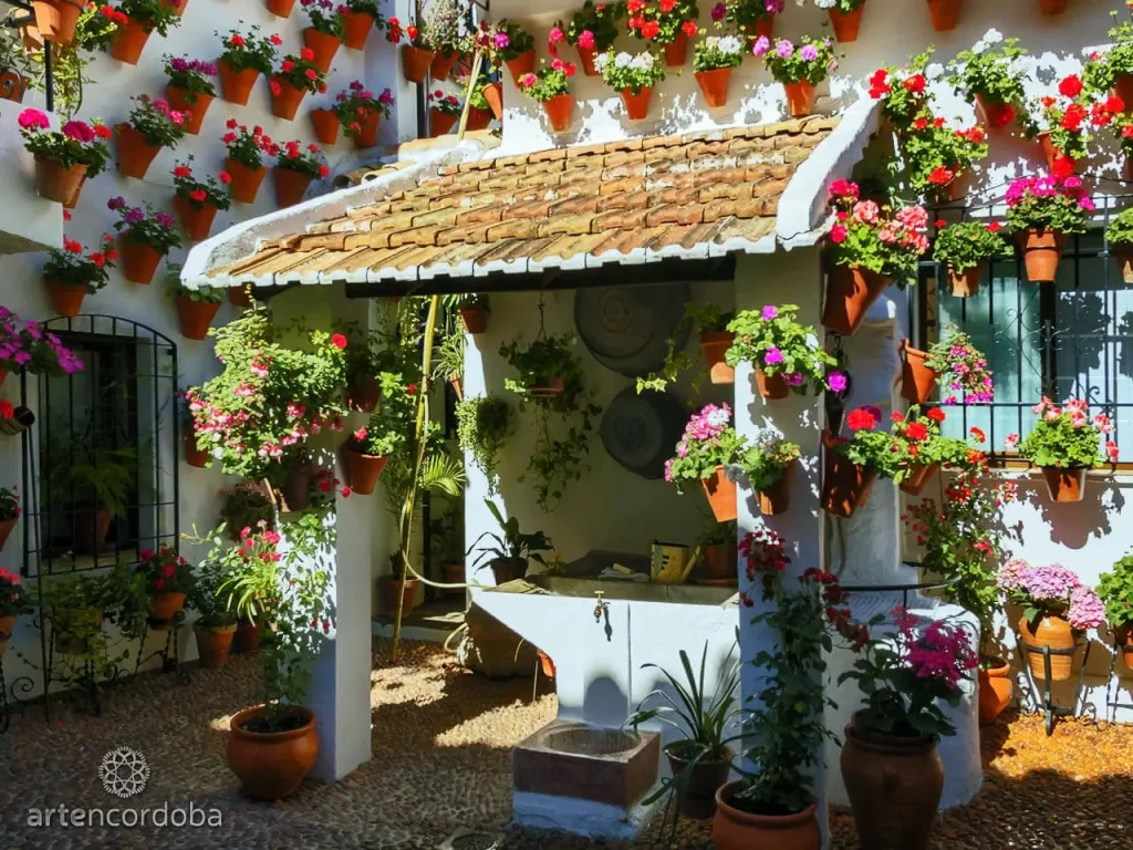 Visita Guiada Patios de Córdoba