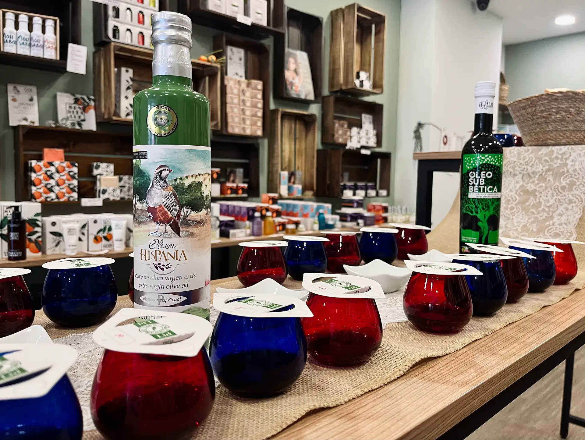 Cata de aceite de oliva en Córdoba