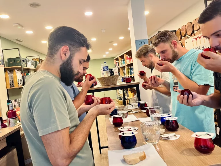 cata de aceite de oliva en cordoba 4 768x576