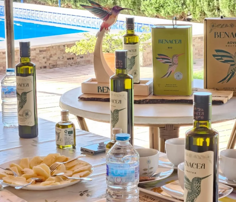 visita a un olivar ecologico renacer 1 768x658