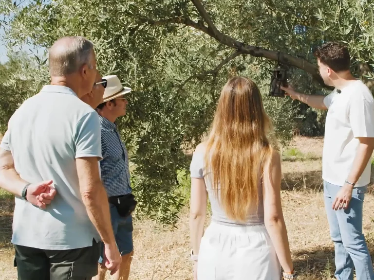 visita a un olivar ecologico renacer 4 768x576
