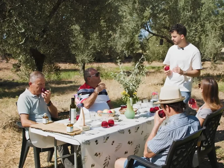 visita a un olivar ecologico renacer 6 copia 768x576