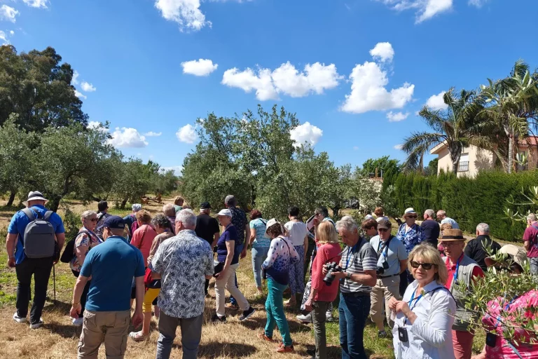 visita a un olivar ecologico renacer 8 768x512